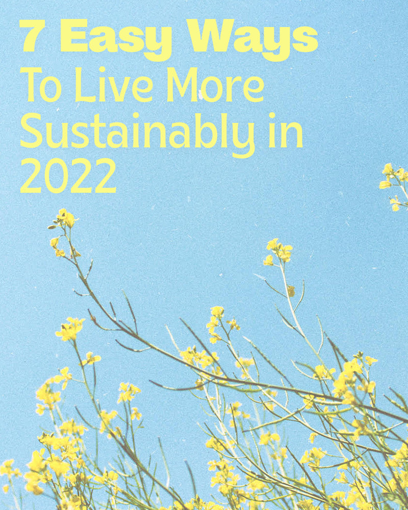 7 Easy Ways to Live More Sustainability in 2022
